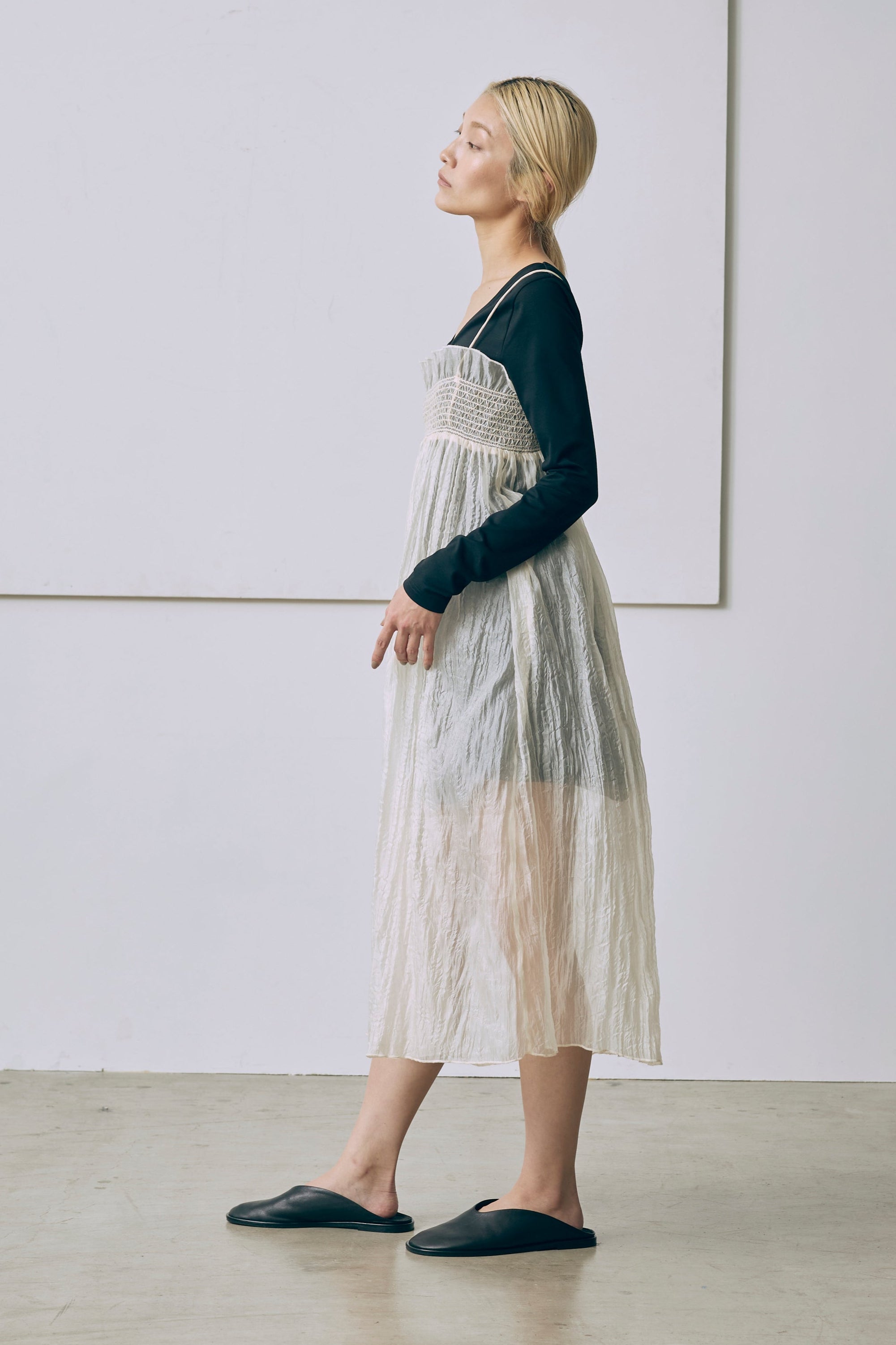 2Way Sheer Crinkled Skirt Dress