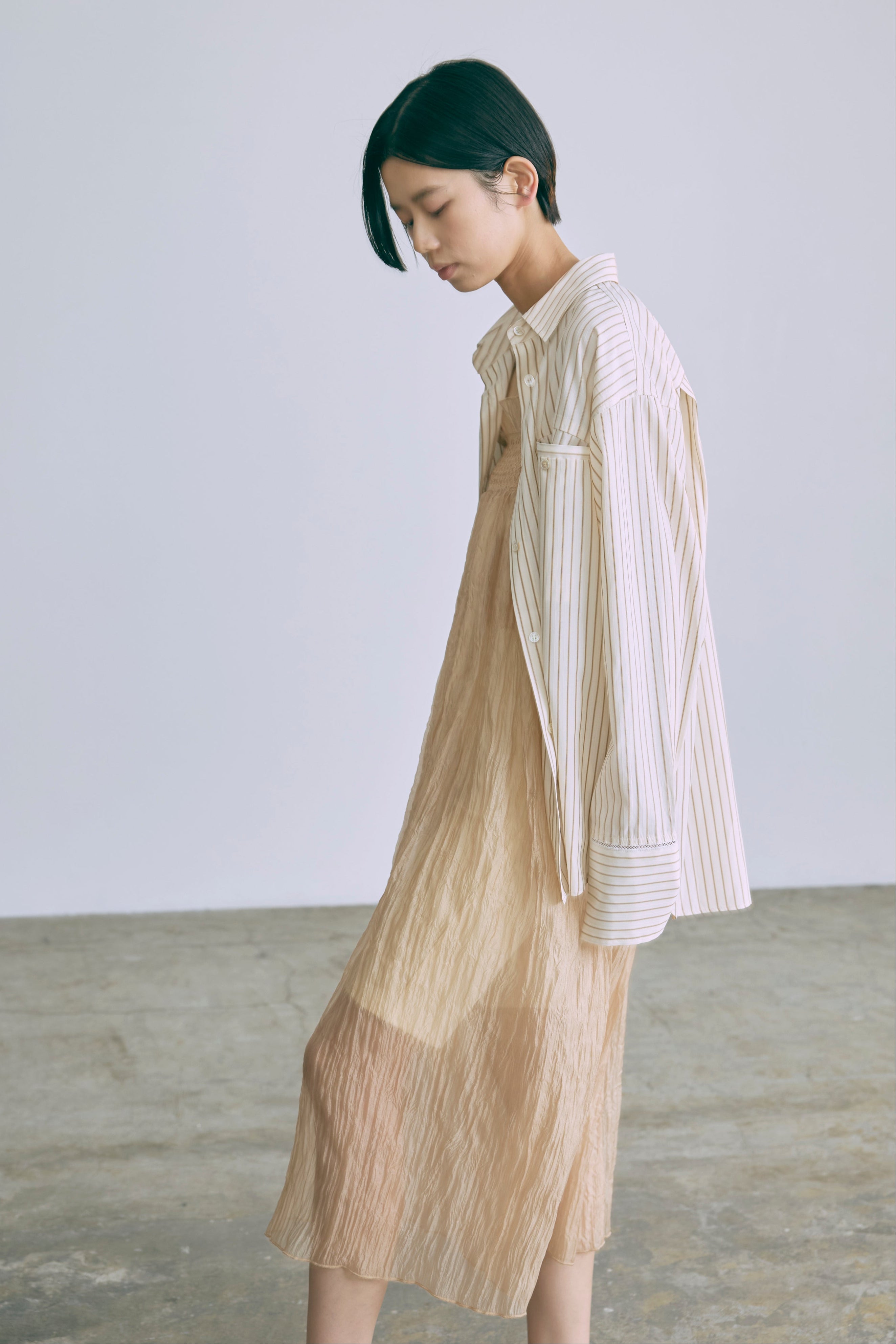 2Way Sheer Crinkled Skirt Dress