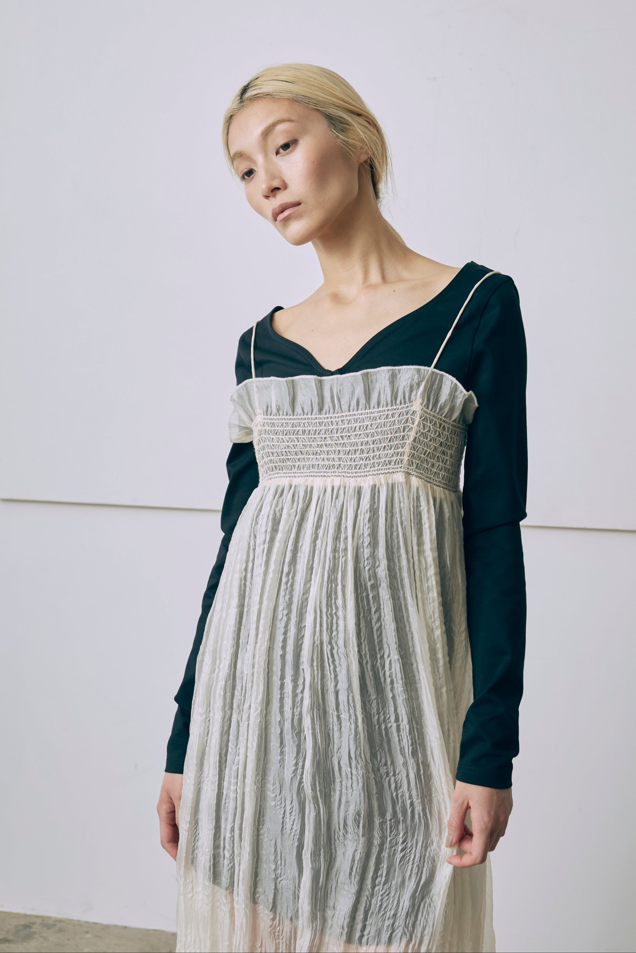 2Way Sheer Crinkled Skirt Dress