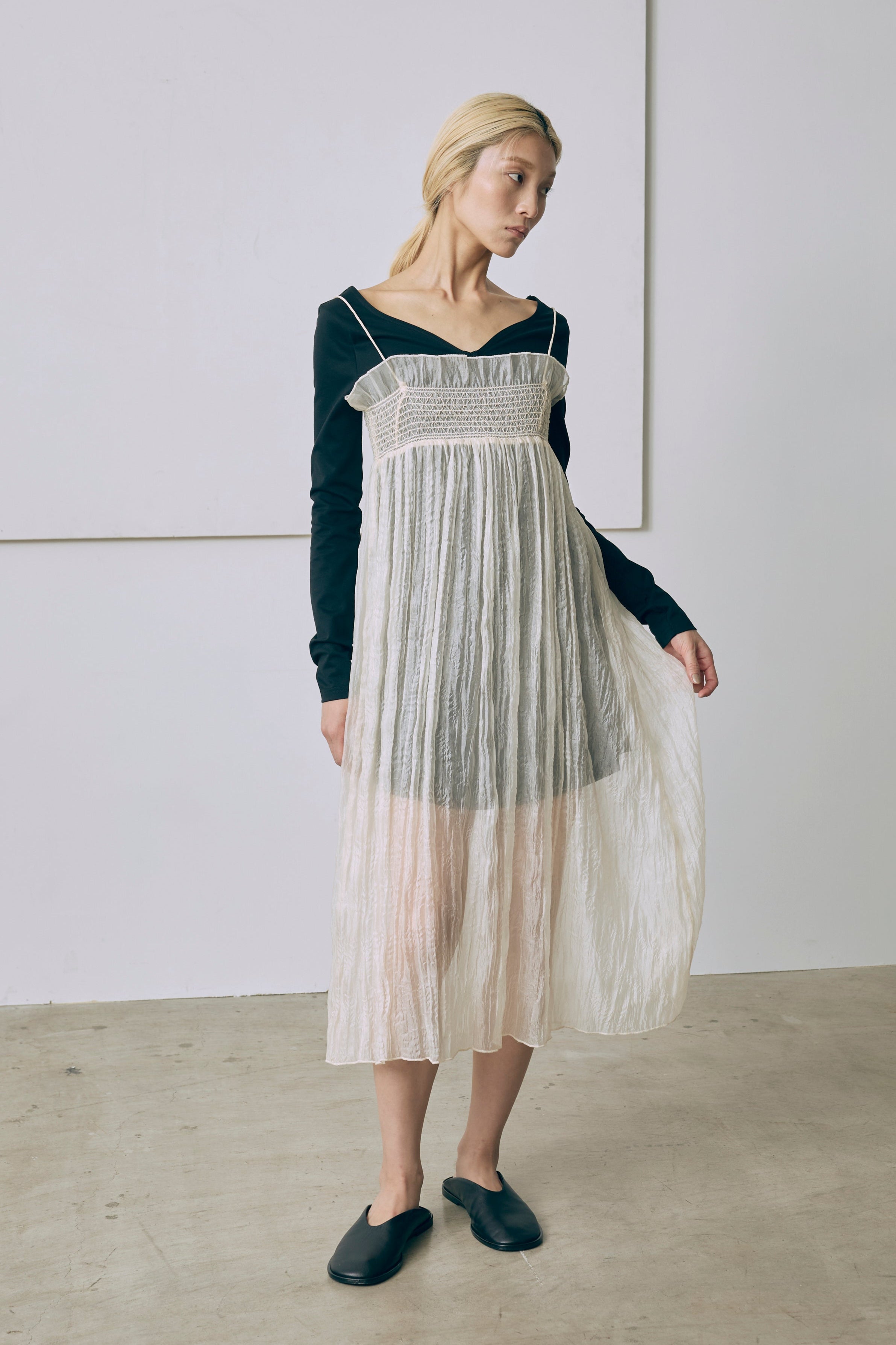 2Way Sheer Crinkled Skirt Dress