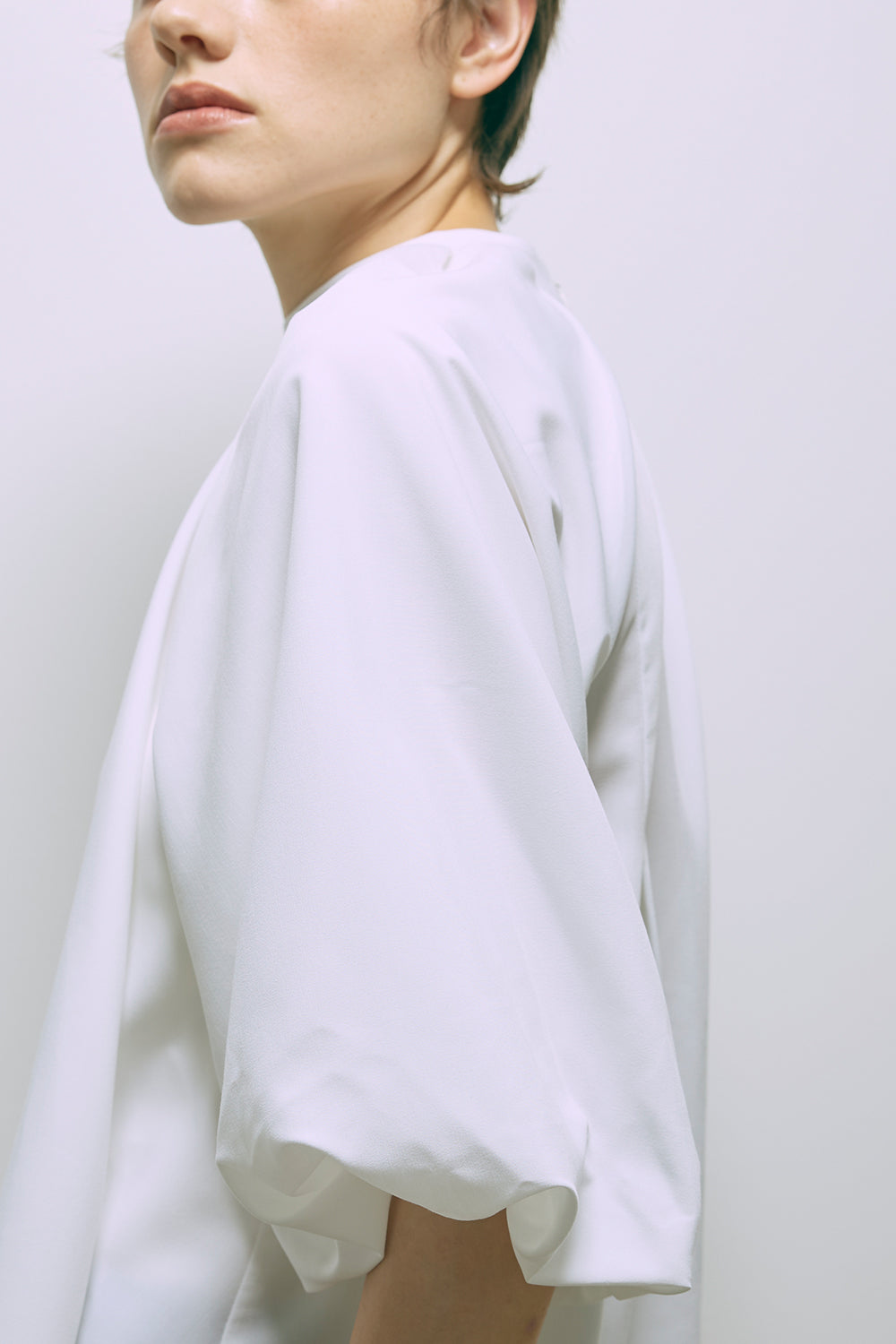 Flared Balloon Sleeve Blouse