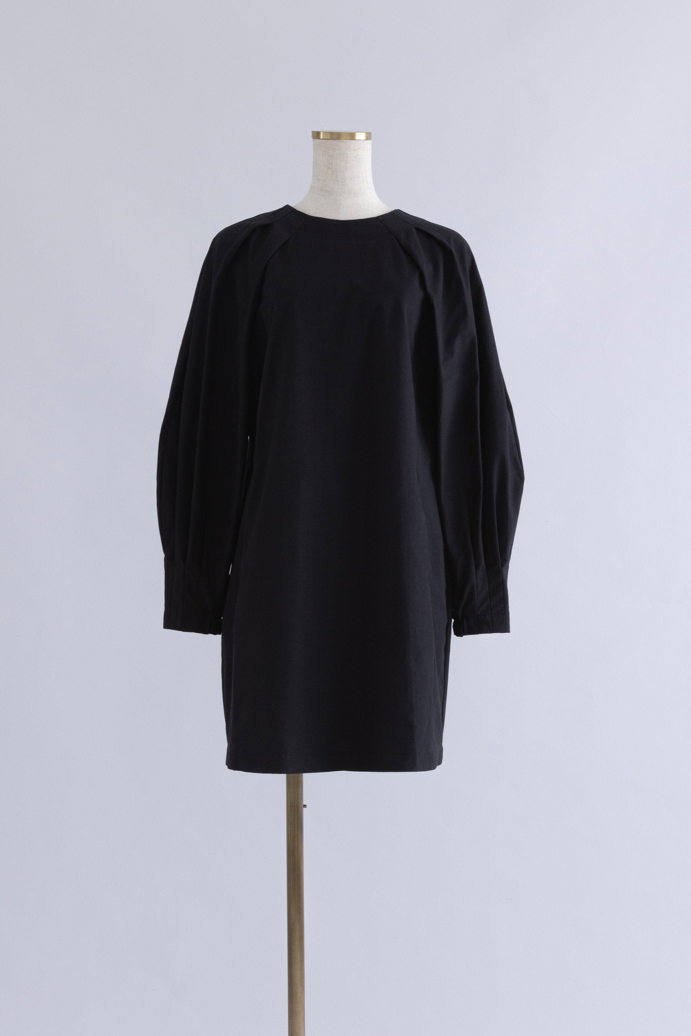 Volume Sleeve Mini Dress