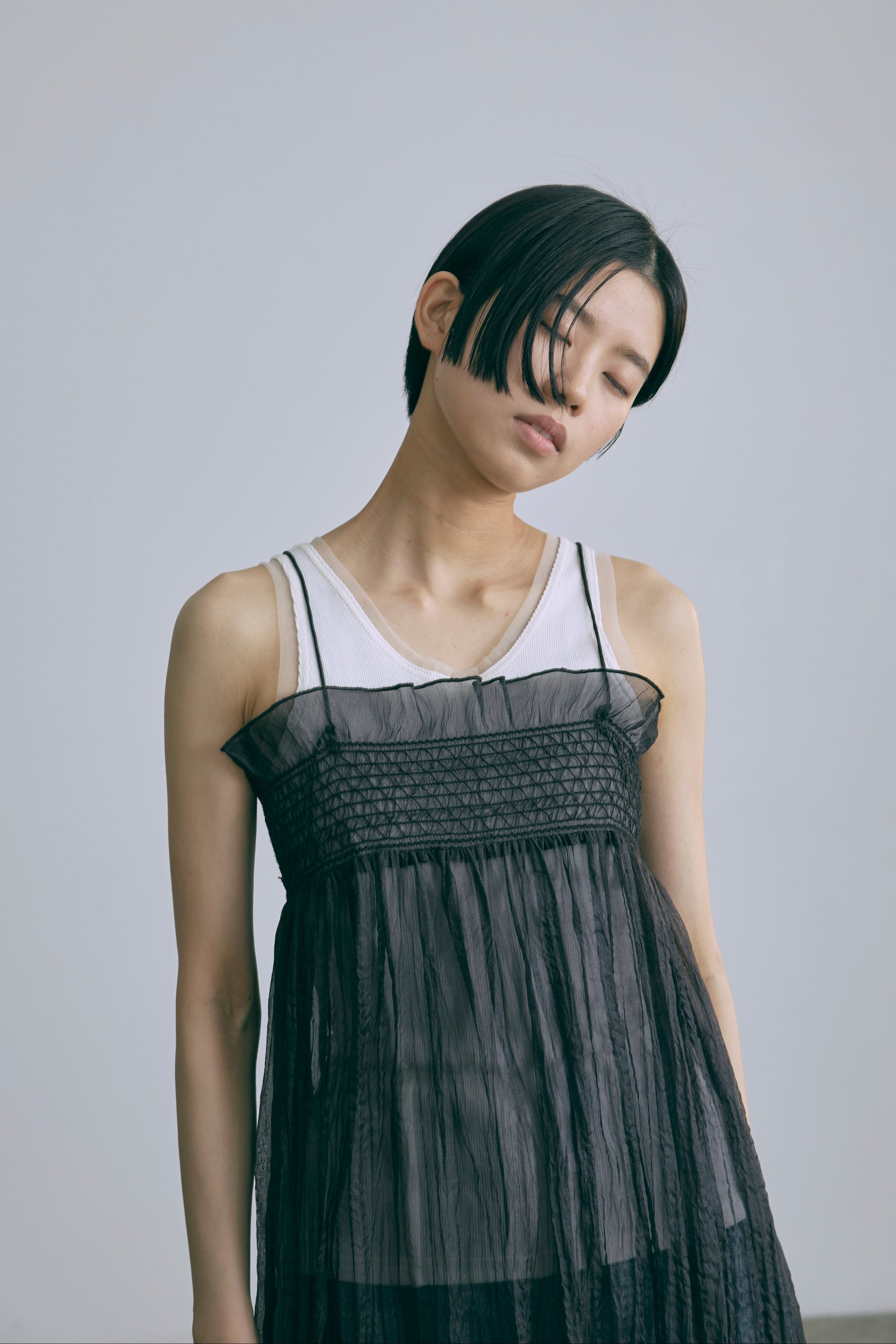 2Way Sheer Crinkled Skirt Dress