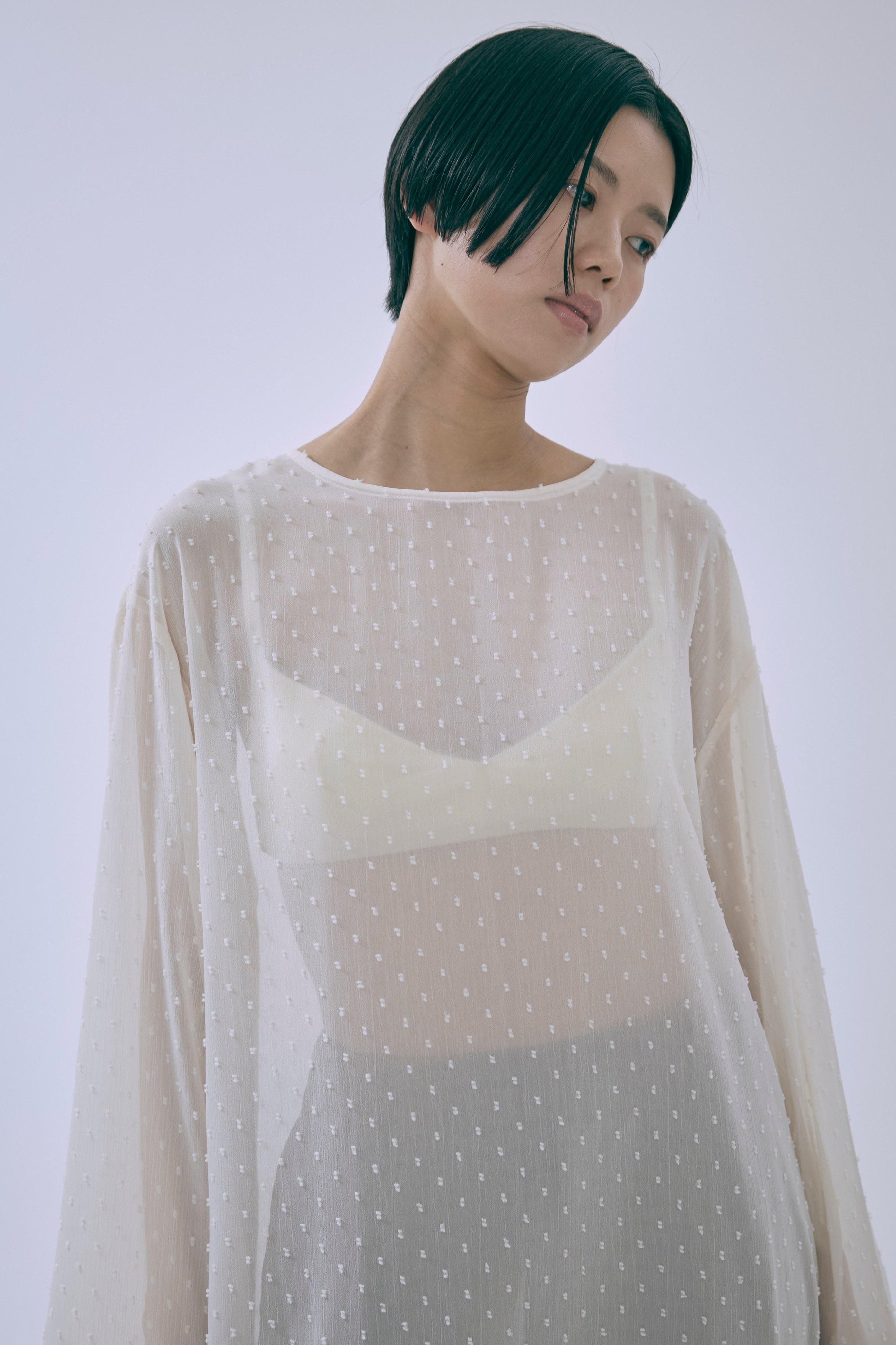 Sheer Dot Tunic