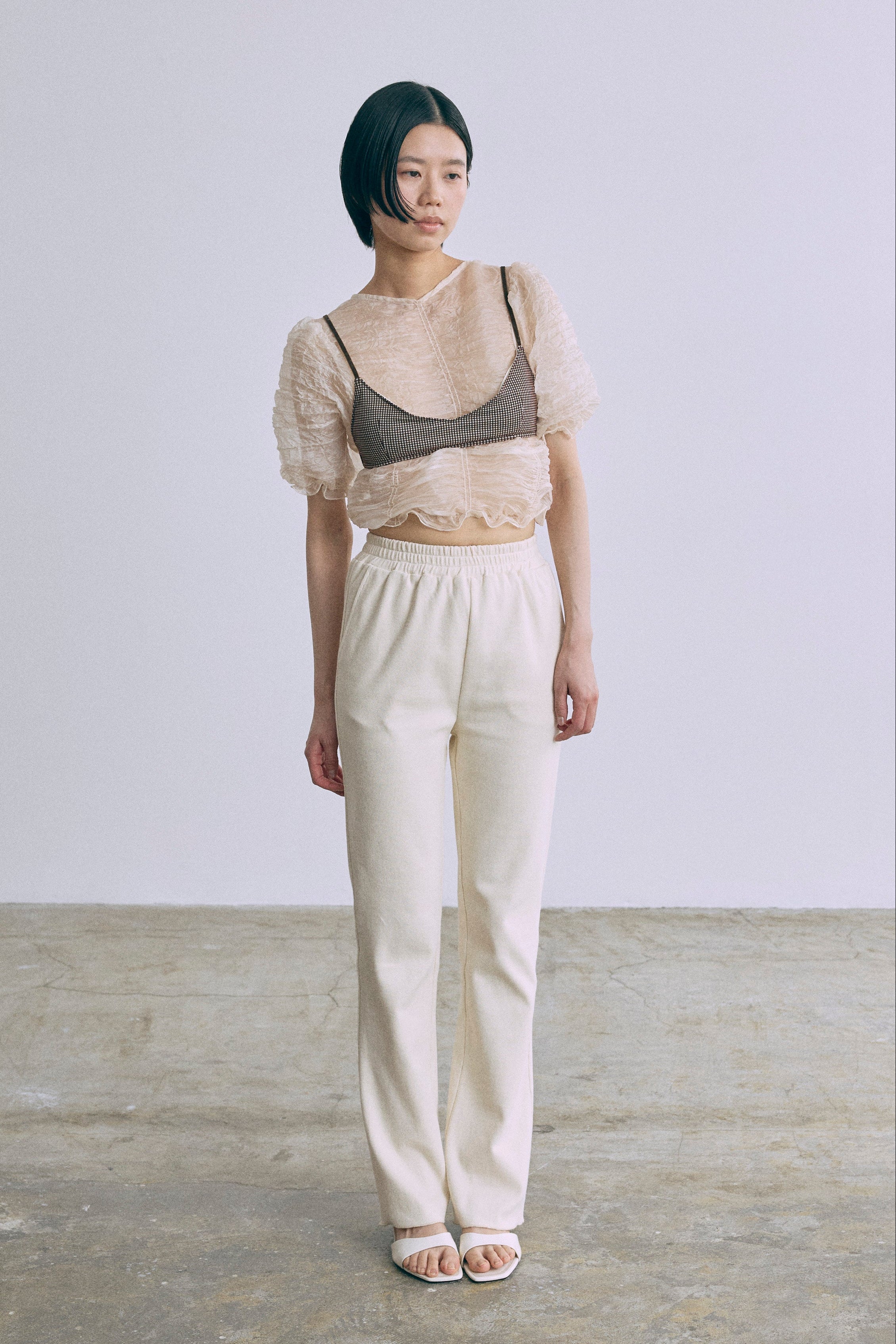 Sheer Crinkled Top – EN NEUME