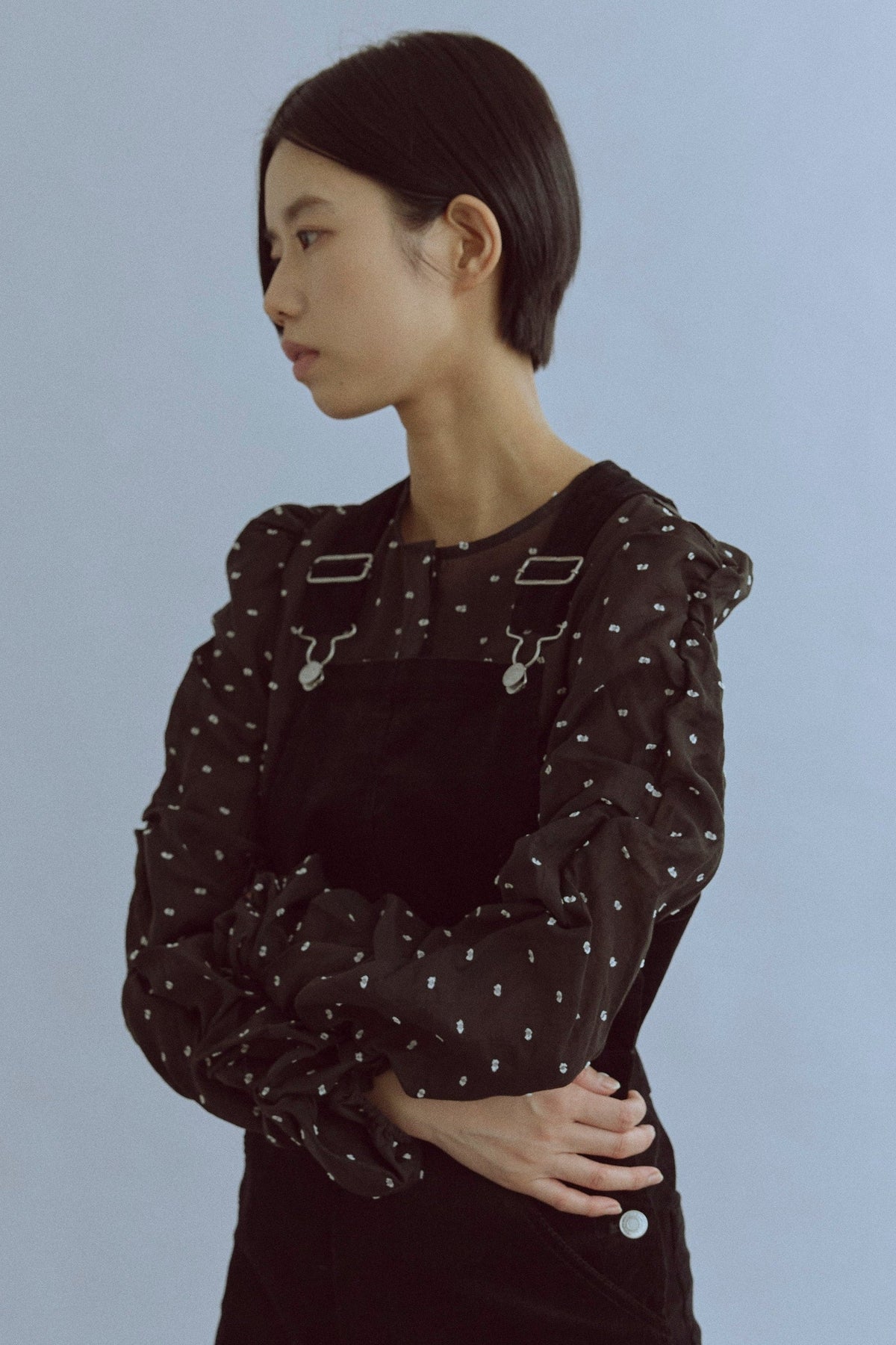 Sheer Dobby Dot Shirring Blouse ブラック